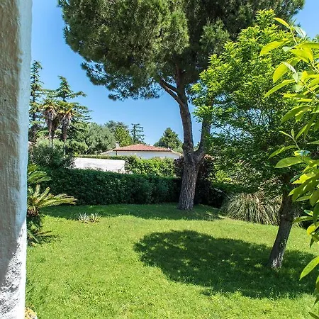 N264 - Numana, Singola Con Ampio Giardino